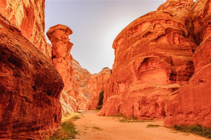 Petra, Wadi Rum, Dead Sea 4 days