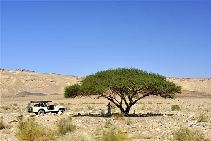 Safari Jeep Tour to the Dead Sea