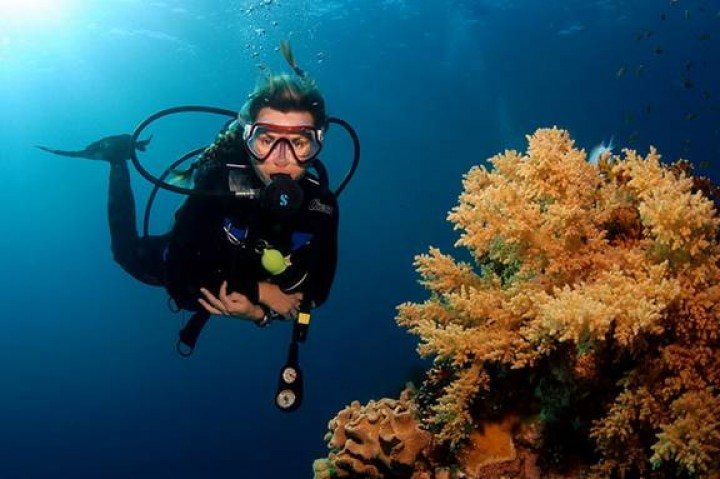 Red Sea Diving 8 days